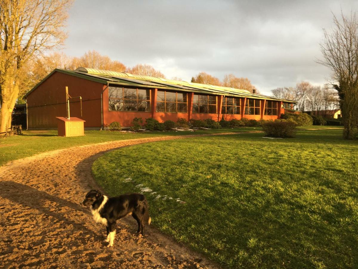 Huck'S Ferienhaeuser Villa Borstel  Esterno foto